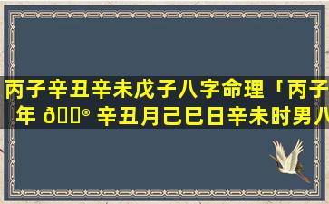 丙子辛丑辛未戊子八字命理「丙子年 💮 辛丑月己巳日辛未时男八字」